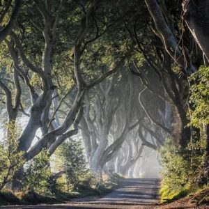 Giant’s Causeway, Dunluce Castle, Dark Hedges and Belfast city from Dublin at Hugh Lane Gallery, Dublin, Ireland eUKs.com Special Offers, Deals & Discounts in UK & Ireland