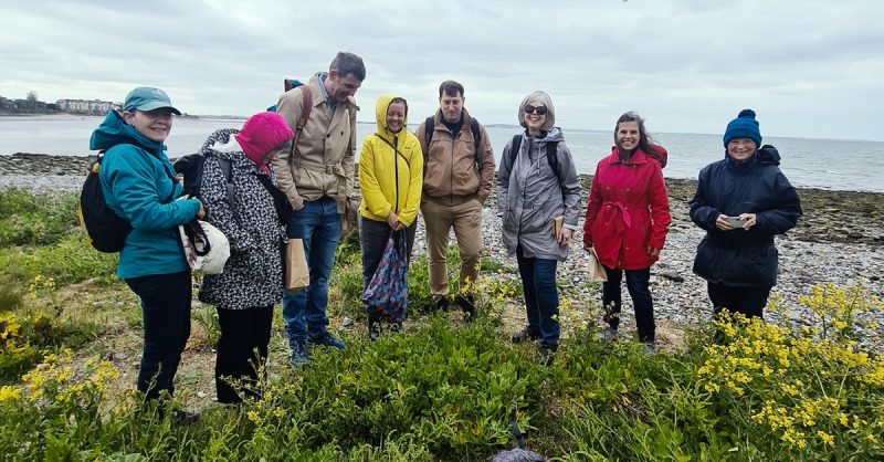 Join the Adventure: Two or Four Person Foraging Tour Howth Dublin eUKs.com Special Offers, Deals & Discounts in UK & Ireland 3