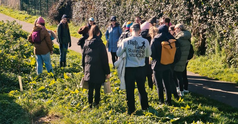 Join the Adventure: Two or Four Person Foraging Tour Howth Dublin eUKs.com Special Offers, Deals & Discounts in UK & Ireland