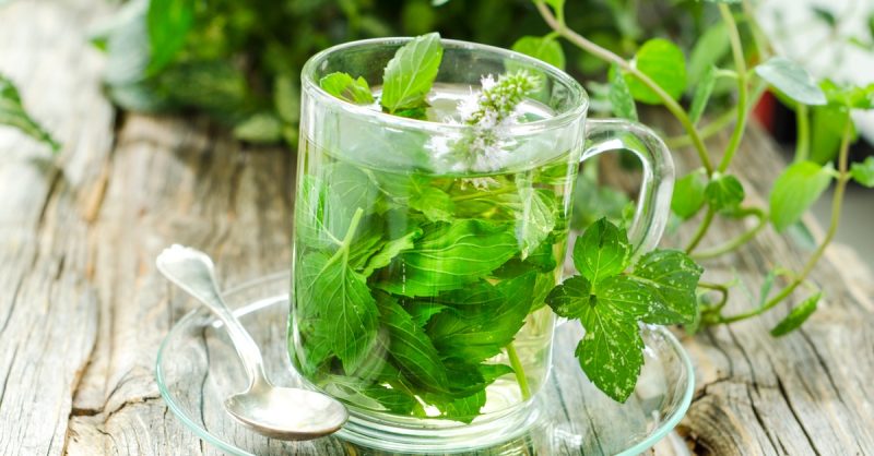 Master Herbalist Online Course from Alpha Academy National Deal eUKs.com Special Offers, Deals & Discounts in UK & Ireland