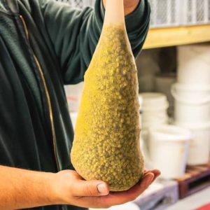 Mead Brewing Workshop at Gosnells of London at Gosnells Bar, London, United Kingdom eUKs.com Special Offers, Deals & Discounts in UK & Ireland