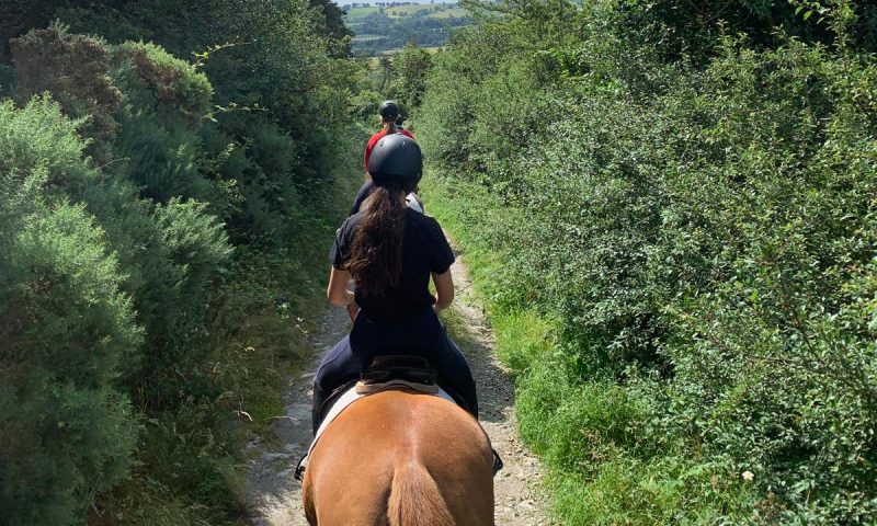 One-Hour Horse Trekking at Wicklow Equitours Dublin eUKs.com Special Offers, Deals & Discounts in UK & Ireland 2