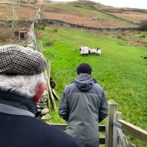 Small Group Aughnanure Castle, Sheepdog Demo & Connemara Tour at HYDE Hotel, Galway, Ireland eUKs.com Special Offers, Deals & Discounts in UK & Ireland