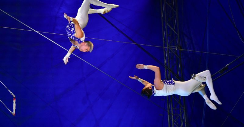 Tickets to Circus Gerbola in Mallow | May 12 – May 14 Munster eUKs.com Special Offers, Deals & Discounts in UK & Ireland 2