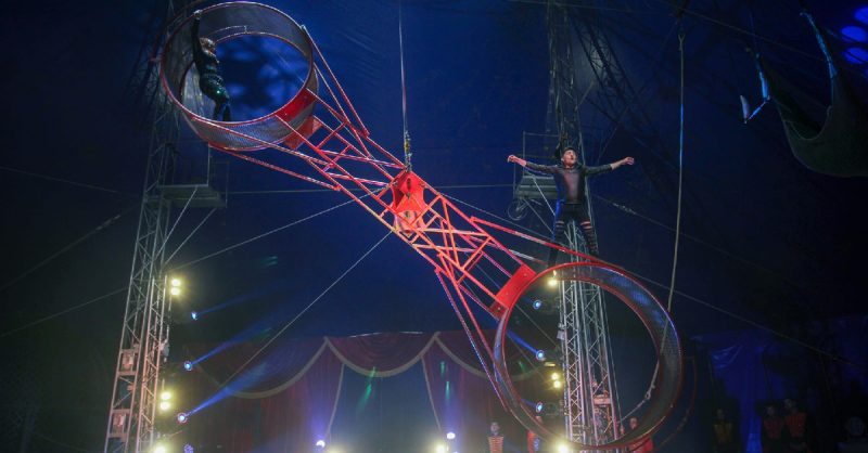Tickets to Circus Gerbola in Mallow | May 12 – May 14 Munster eUKs.com Special Offers, Deals & Discounts in UK & Ireland 3